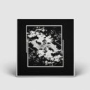 Persohna - Succession (Original Mix)