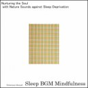 Sleep BGM Mindfulness - Embracing New Life with Postpartum Care and Tranquil Moments (Original Mix)