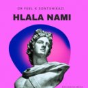 Dr Feel, Sontshikazi - Hlala Nami
