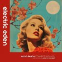 Alejo Barca - Connect With You
