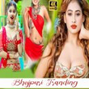 Various Artists - Bhojpuri Tranding song (Original Mix)