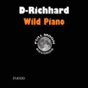 D-Richhard - Wild Piano