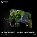 M. Rodriguez, Karol Melinger - Got To
