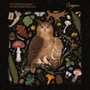 Maxxim, flanerr - Moments Of Wonder