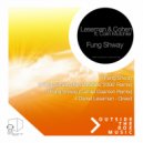 Leseman & Cohen ft. Colin Mutchler - Fung Shway