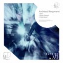 Andreas Bergmann - Fake Beard