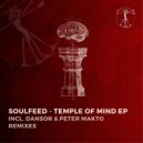 Soulfeed - Temple of Mind (Dansor Remix)
