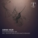 Arina Mur - Hummingbird (RIGOONI Remix)