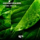 Ozgur Ozkan and Nissim Gavriel - Spirit Of Ida (Original Mix)