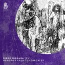 Diego Miranda (CH) - Disco Haze (Original Mix)
