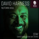 Nutown Soul Ft. Busi Thwala - Stay (David Harness Stay Safe Remix)
