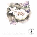 Tibor Dragan - My Story (Original Mix)