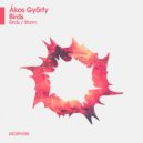 Akos Gyorfy - Birds