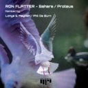 Ron Flatter - Proteus