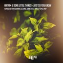 Antrim and Some Little Things - Just So You Know (Ran Salman Remix)