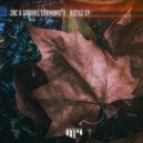 Zac and Gabriel Carminatti - Give Me Your Arp? (Original Mix)