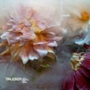 tinlicker - revolution (Original Mix)
