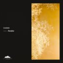 Casnik - The Transformation Process