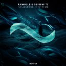 Rawolle & Seidewitz - Teahupoo (Code Red Version I Rework2024)