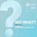 Big Al - Say What (Simon Landa Remix)