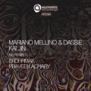 Mariano Mellino and Dassie - Kai Jin (Praveen Achary Remix)