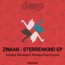 Zwaan - Droom (Original Mix)
