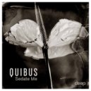 Quibus - Sedate Me (Original Mix)