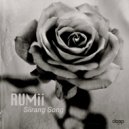 RuMii - Sirrang Song (Original Mix)