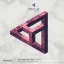 Paco Buggin & Jauregui - The Boo (Intu:itiv\'s Runaway Mix)