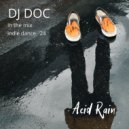 DJ Doc - Acid Rain