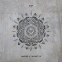 Wild Dark - Below The Summit