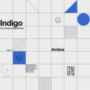 Avidus - Indigo (Johannes Albert Remix)