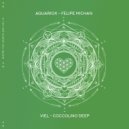 Felipe Michan - Seashell (Original Mix)