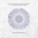 David Hohme & Dustin Nantais - In Your Sway (Erdi Irmak Remix)