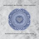 David Hasert & Beatamines - Sweet Harmony (Erdi Irmak Remix)