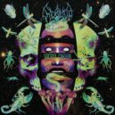 Kuollut - Quantum Suns of Your Smiling Eyes
