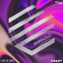 Lin C (BR) - Crazy (Dub Mix)