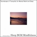 Sleep BGM Mindfulness - Whispers of Tranquility from the Heart's Empathic Echoes
