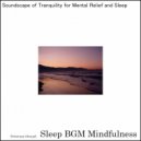 Sleep BGM Mindfulness - Whispers of Tranquility from the Heart\'s Empathic Echoes (Original Mix)