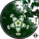 Rojr - Area 69