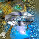 Planetary Child - DMT and Worm Holes