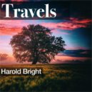 Harold Bright - Affecting Neglect ()