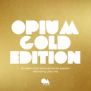 Ilya Gushin, Sunny Cross, Folgatto - Gayatri Mantra (Phunk Investigation, Jean Aita Remix)