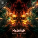 Mashrum - Desolation
