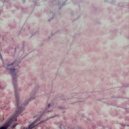 anthéne - patterns of snow