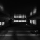 damirat - Hecinkil tyep ()