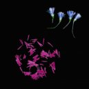 Stolen Pears - I Ain\'t Scared ()