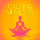 Peter Pearson - Calming Influences
