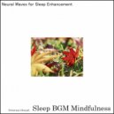 Sleep BGM Mindfulness - Healing Harmonies Rise, Guiding Tired Hearts to Rest (Original Mix)