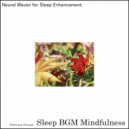Sleep BGM Mindfulness - Peaceful Night's Rest with the Whispers of a Serene Lake
